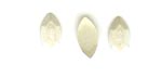 Iron On "Oval" Nailheads